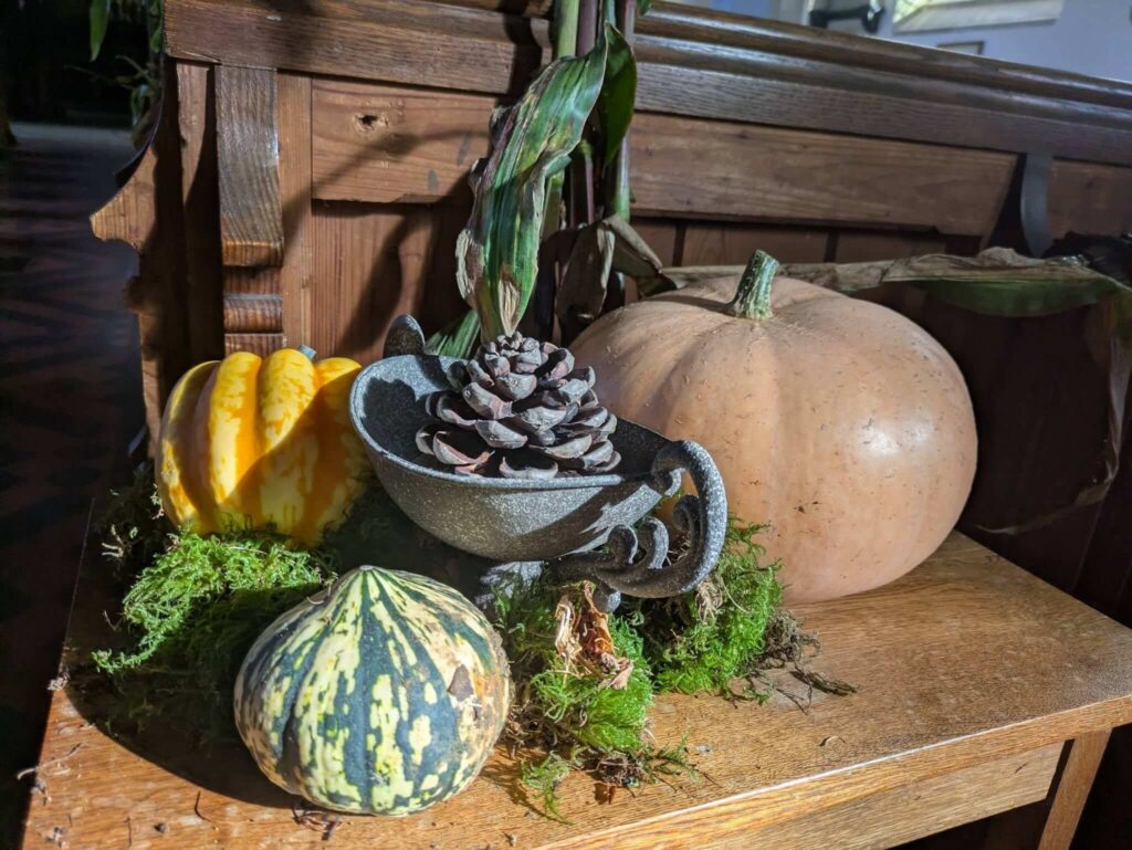 Harvest Display - Fruit and Veg on Table