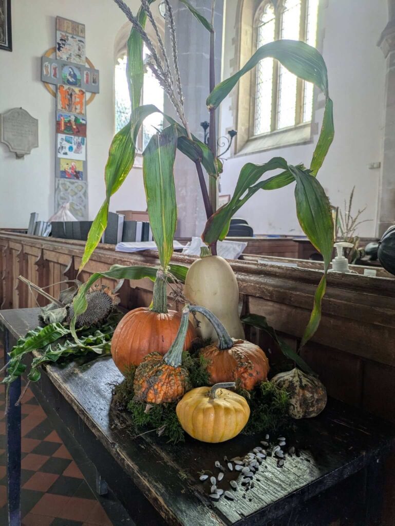 Harvest Display - Fruit and Veg on Table 2